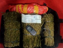 Bawa 2 Kg Ganja, Warga Beutong Dibekuk Satreskoba Polres Aceh Tengah