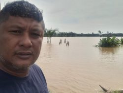 Sawah, Jalan hingga Rumah di Lhokseumawe dan Aceh Utara Terendam Banjir