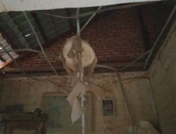 20 Hari Pascabencana, Warga Desa Bundar Aceh Tamiang Masih Hidup dalam Keterbatasan