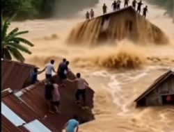 Dari Hutan ke Lumpur Kisah Pengabdian Aceh