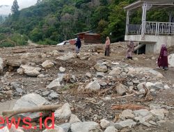 Ketika Kayu Mulai Bertanya