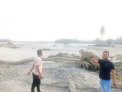 Kisah dari Cot Ara Bireuen