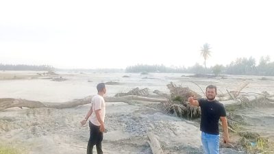 Kisah dari Cot Ara Bireuen