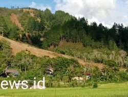 Hutan Lindung yang Melindungi