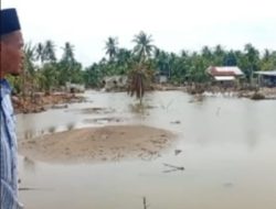 55 Hari Pasca Bencana, Huntara di Kuala Cangkoy Aceh Utara Belum Ada Tanda-tanda Dibangun