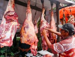 Ketika Orang Kaya Aceh Pun Bahagia Dapat Daging Meugang: Bukan Soal Nilai, Tapi Soal Makna