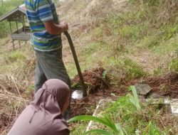 Ketika Longsor Menghapus Nisan: Pulang Kampung yang Tak Lagi Punya Tujuan