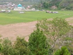 Belang Bepancang, Uten Betene: Ketika Alam Gayo Menagih Janji yang Dikhianati