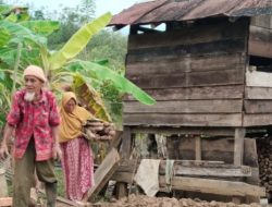 Relawan Bangun Rumah Lansia Korban Bencana Pantan Nangka, Pemerintah Tak Hadir