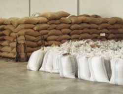 Kopi dan 52 Komoditas Pertanian RI Resmi Nol Persen Bea Masuk ke Pasar AS