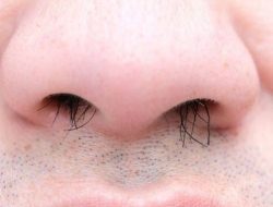 Apa Kabar Kawan? “Jangut Ni Iyong Mu, mu Rah Rah”