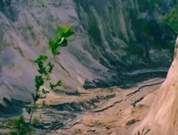 Puisi Tasauf Ekologi: Suara Sunyi yang Kerap Lahir dari Musibah