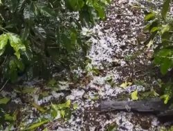 Mengapa Hujan Es Terjadi?