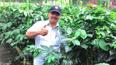 Perlunya Regulasi Perlindungan Kopi Gayo