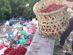 Bertani Jangan Asal “Unung-unung”