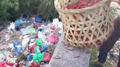 Bertani Jangan Asal “Unung-unung”