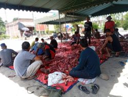 IAIN Takengon Sembelih 20 Hewan Qurban, Wujud Kepedulian Sosial Kampus