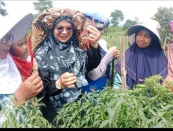 Melestarikan Budaya Gayo Lewat Kelobong