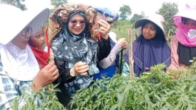 Melestarikan Budaya Gayo Lewat Kelobong