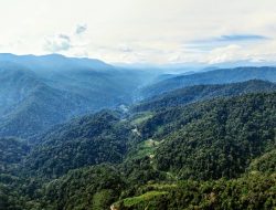 Bila Penyair Asia Menyaksikan Paru-Paru Dunia Gunung Leuser