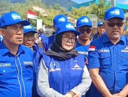 Demokrat Aceh Tengah Tanam Ratusan Pohon Lewat Gerakan Langit Biru Indonesia Asri, Dukung Pemulihan Lingkungan Pascabencana